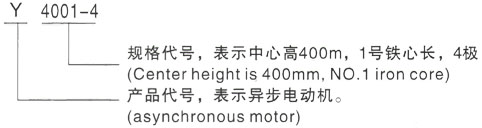 西安泰富西玛Y系列(H355-1000)高压慈溪三相异步电机型号说明